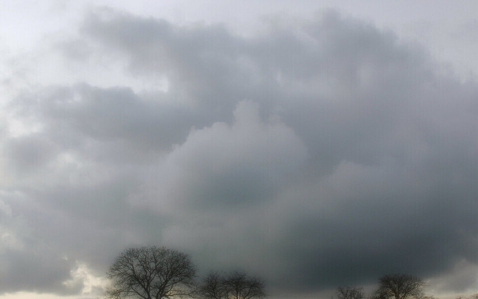 Иллюстративная фотография.