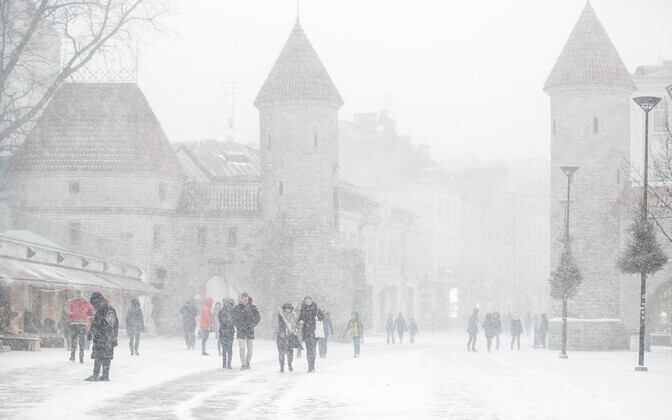 People braving blustery winds and near-whiteout conditions during the 2 January winter storm.