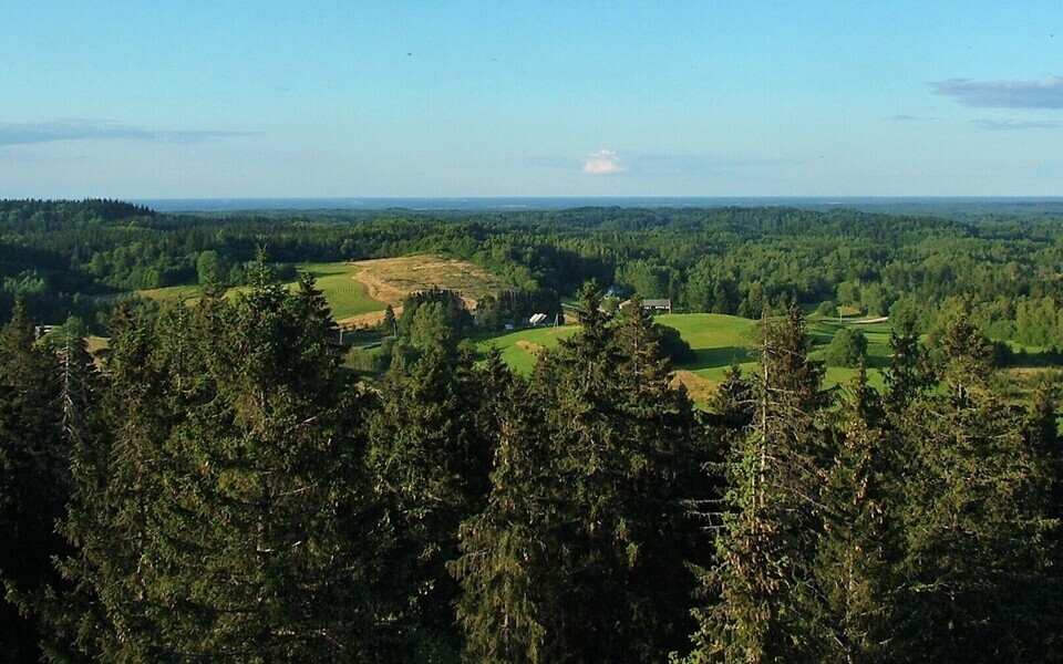 Kõige rohkem üllatas teadlasi Kagu-Eesti eraldumise tugevus.