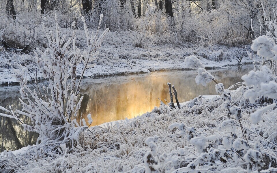 Иллюстративное фото.