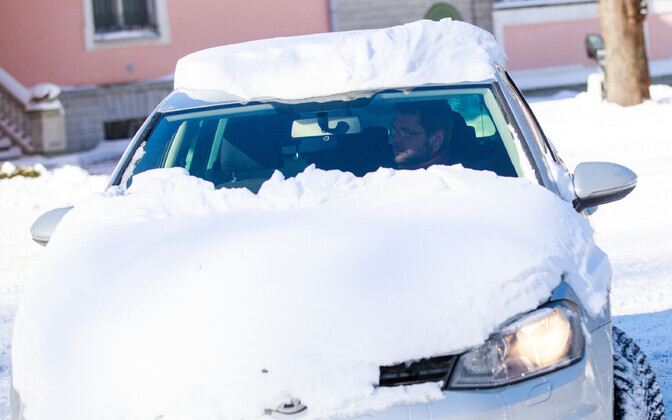 Лидеры политических партий в Кадриорге.