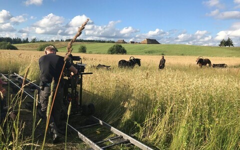 Film Vargamäe, where 