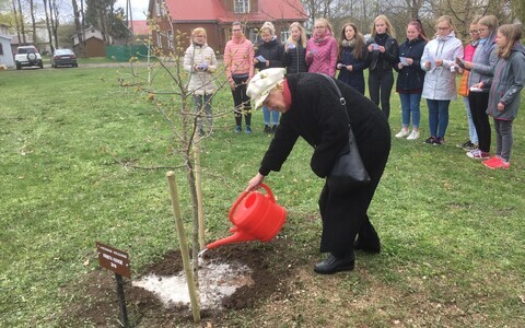 Wiedemanni keeleauhinna laureaat Tallinna Ülikooli professor Krista Kerge istutas traditsiooni kohaselt kohalikku keeletammikusse oma puu.