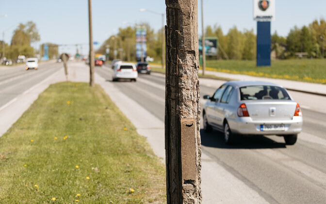 Peterburi tee on kohutavas olukorras, kuid ei linn ega riik leia vahendeid, et seda korda teha.