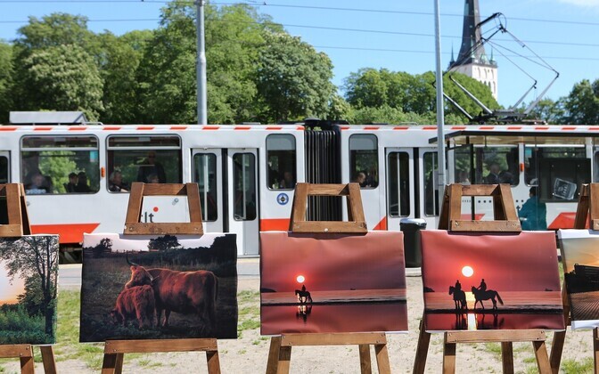 Первая фотовыставка из серии 