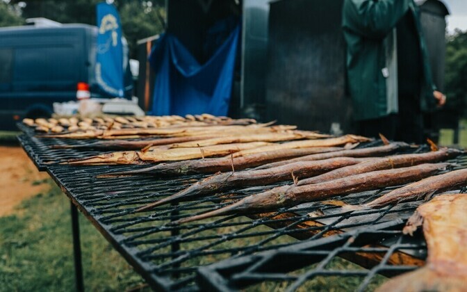 Peipsi järvefestival, Rannapungerja