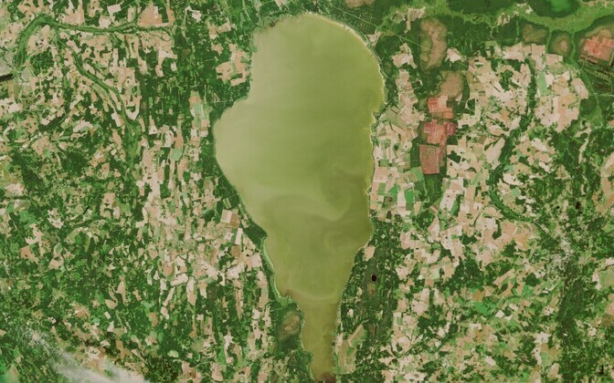 Satelliidipilt Võrtsjärvest 29. juulil.