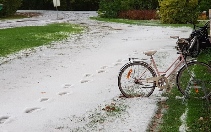 First snow in Saaremaa.