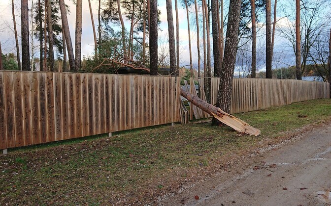 Tormikahjud Tartumaal.