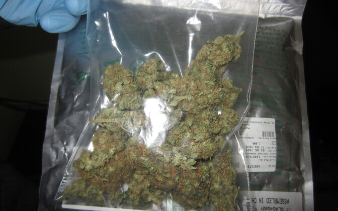 Politsei pidas kinni nooretele internetis narkootikume müünud grupi.