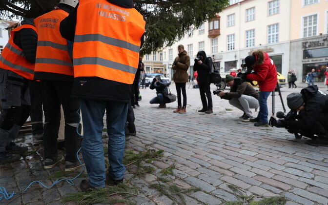 This year's Christmas tree was found on Rõika tänav in Tallinn's Haabersti District.