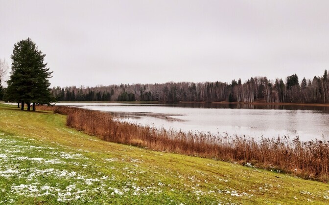 Esimene lumi Viljandimaal