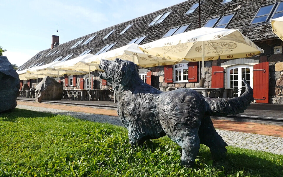 Гранитная вилла Тауно Кангро.