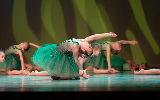 Võru- ja Põlvamaa II kontsert