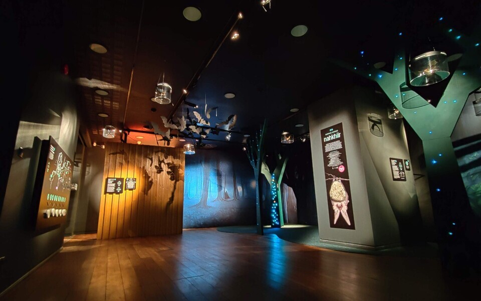 Neljapäevast, 13. veebruarist on Eesti loodusmuuseumis avatud näitus 