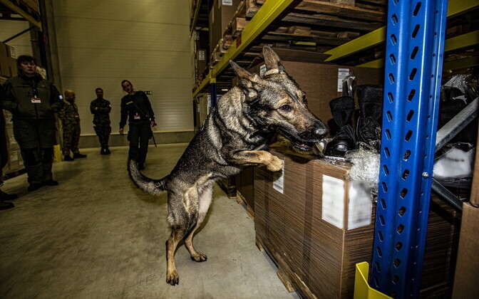 Military Police training drug, bomb and weapons dogs. March 2020.