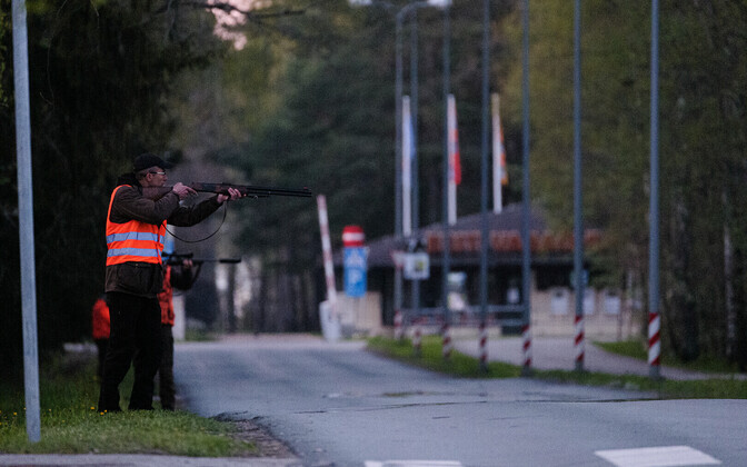 The search in Haabersti for the bears in progress on Thursday, May 14.