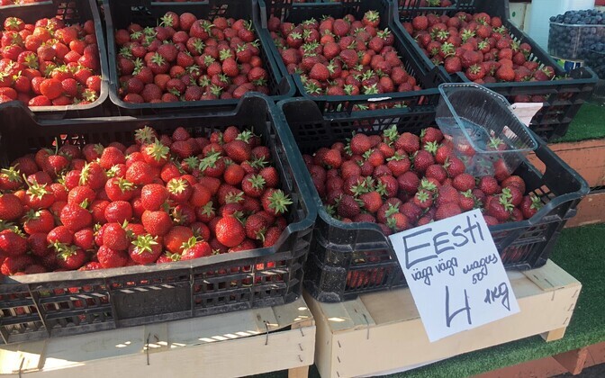 Maasikamüük Tallinna Keskturul.