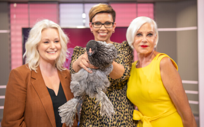 Anu Välba sai saates 