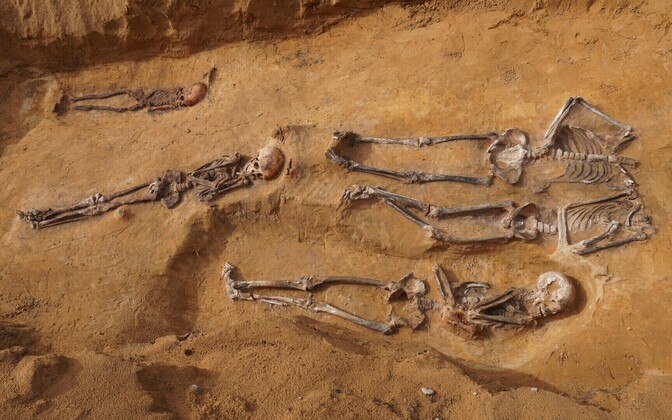Archaeological excavations in Sillamäe village cemetery.