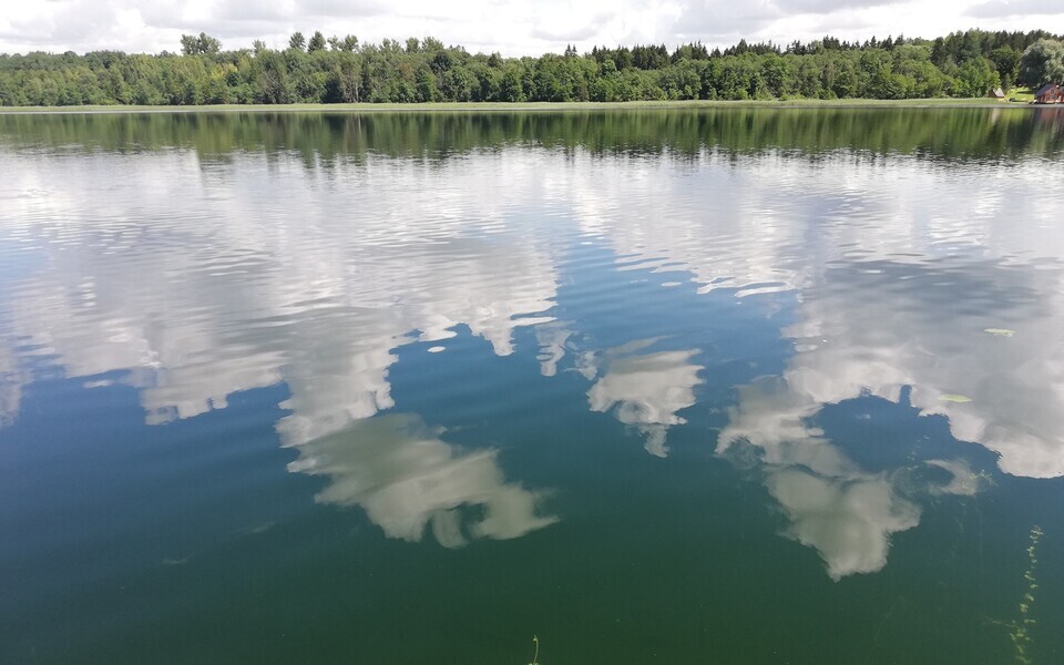 Водоем. Иллюстративная фотография.