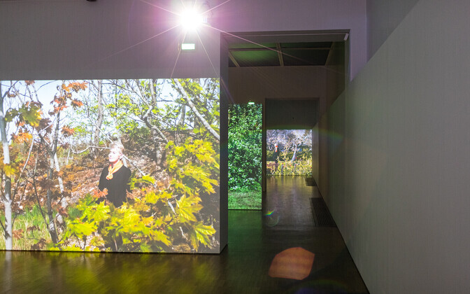Flo Kasearu's exhibition 