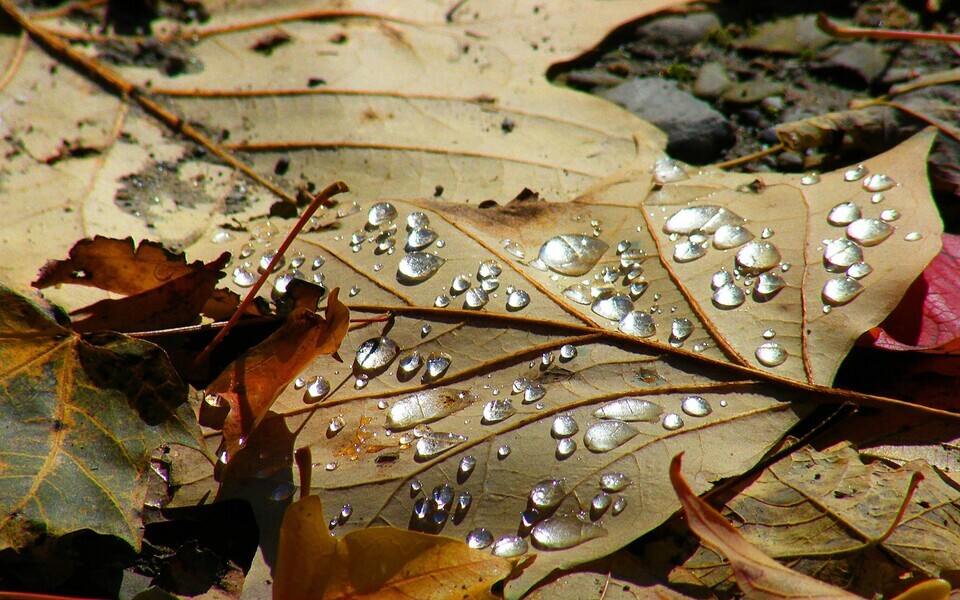 Иллюстративная фотография.