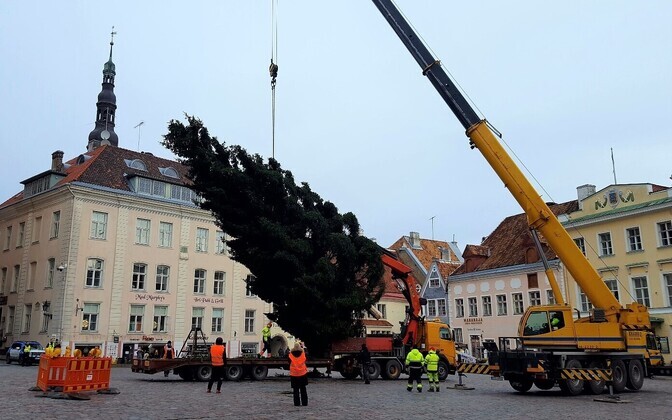 Jõulupuu jõudis Tallinna Raekoja platsile