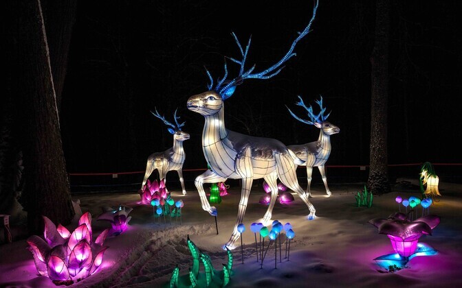 Light sculptures at the 