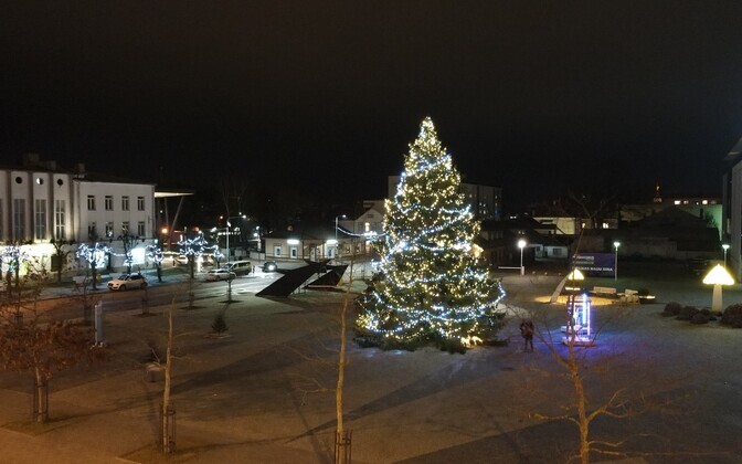 Раквереские ели.