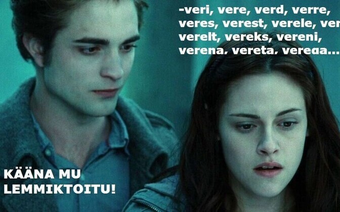 Vikerraadio keelemeemi konkurss