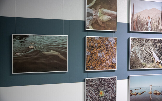 Anna Kõuhkna “Voolule truu” galeriis Positiiv avatakse 15. novembril.