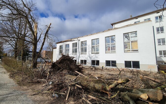 Storm damage on Saaremaa, March 26 2022.