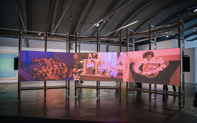 “ars viva 2022 – tajuvälja agendid” Kai kunstikeskuses