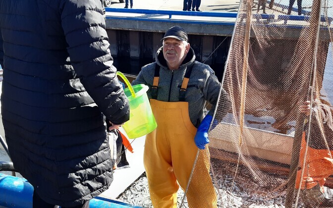 Avatud kalasadamate päev 2022 Pärnus Japsi sadamas.