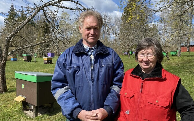 Vahur ja Ülle Talimaa mesila Pärnumaal Tori vallas Muti külas.