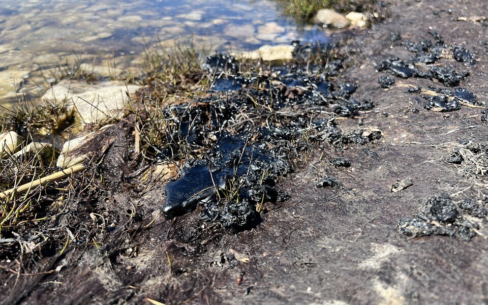 Загрязнение мазутом на Вормси.
