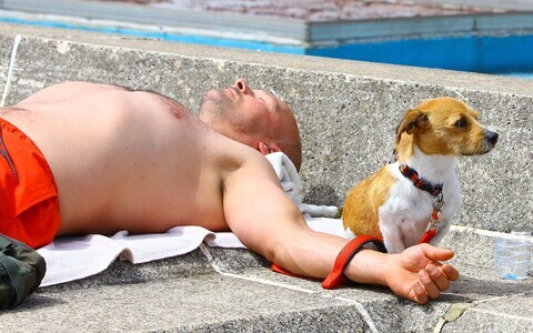 Жара. Иллюстративная фотография.