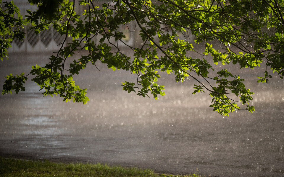 Ливень и радуга в Кадриорге.