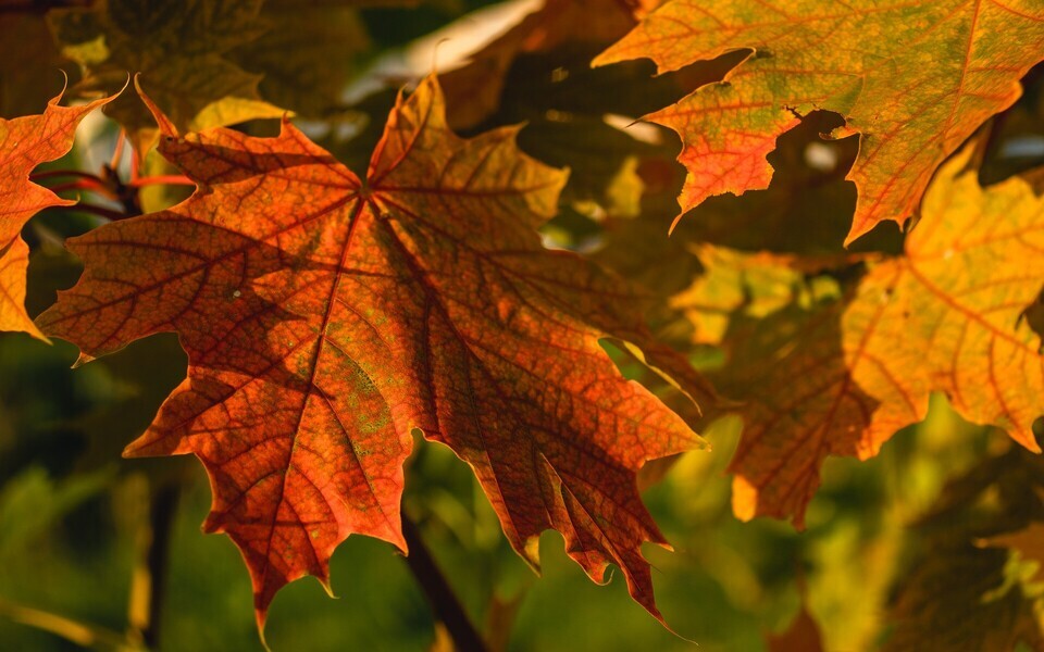 Иллюстративное фото.