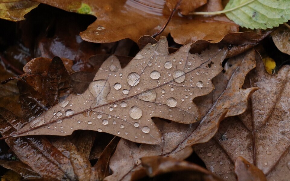 Иллюстративная фотография.