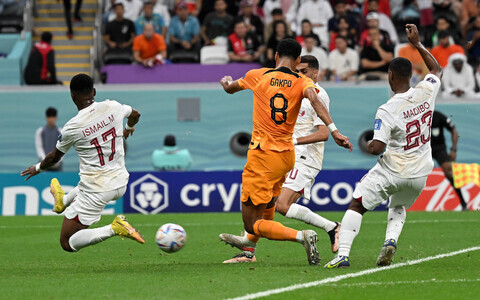 Cody Gakpo väravat löömas Katari vastu