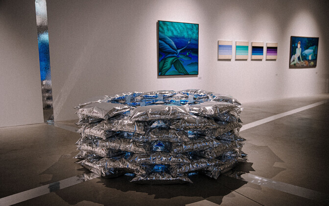 „Viies element“ Vaal galeriis