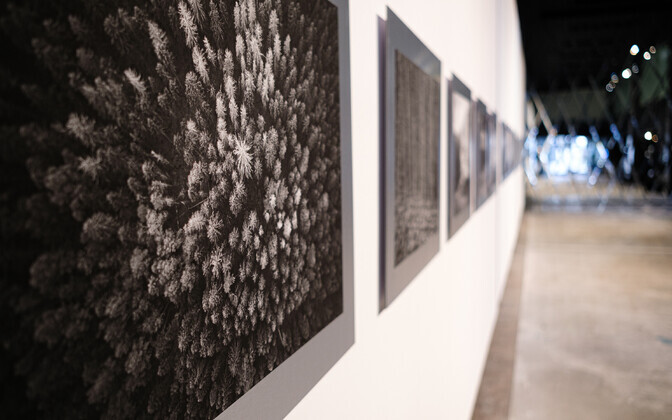 Выставка Каупо Киккаса в торговом центре Solaris.