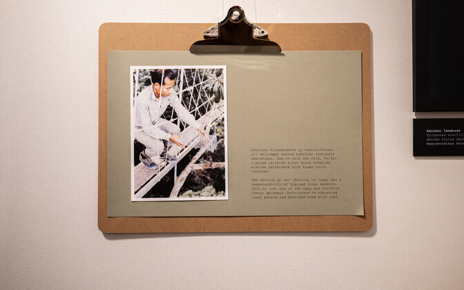 Открытие выставки «Иллар Муул – человек с дерева».