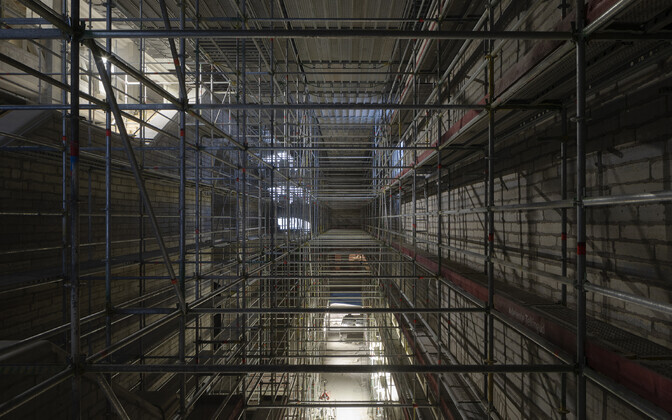 Tellinguterägastik rahvusraamatukogu Tõnismäe hoones