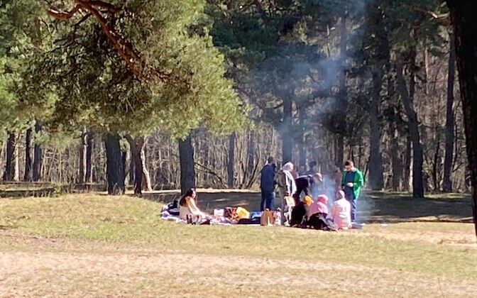 Kevadised grillijad Pikakari rannas.