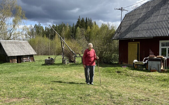 Majapidamine Nursipalus.