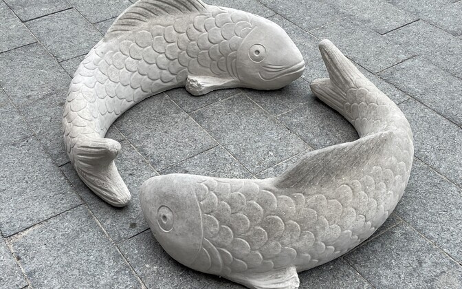 Рыбы из бетона в Нарве.