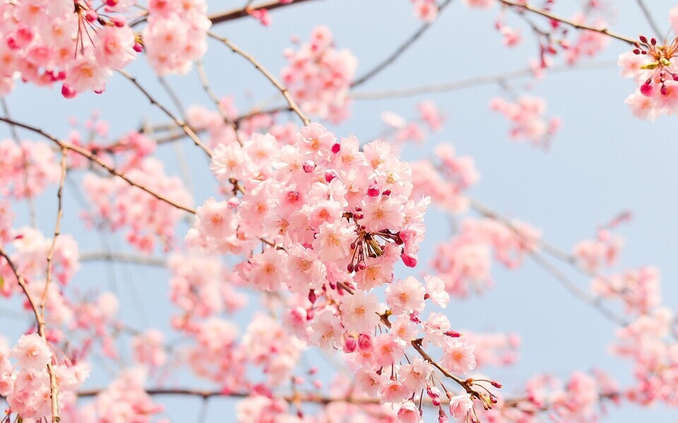 Весна. Иллюстративное фото.